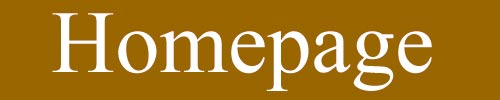 zur Homepage